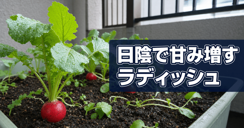 家庭菜園入門！日当たりが悪いベランダでも育てられるラディッシュ