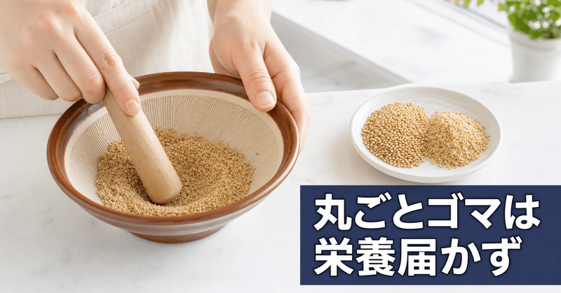 丸ごとゴマはもったいない？すりごまで栄養を活かす